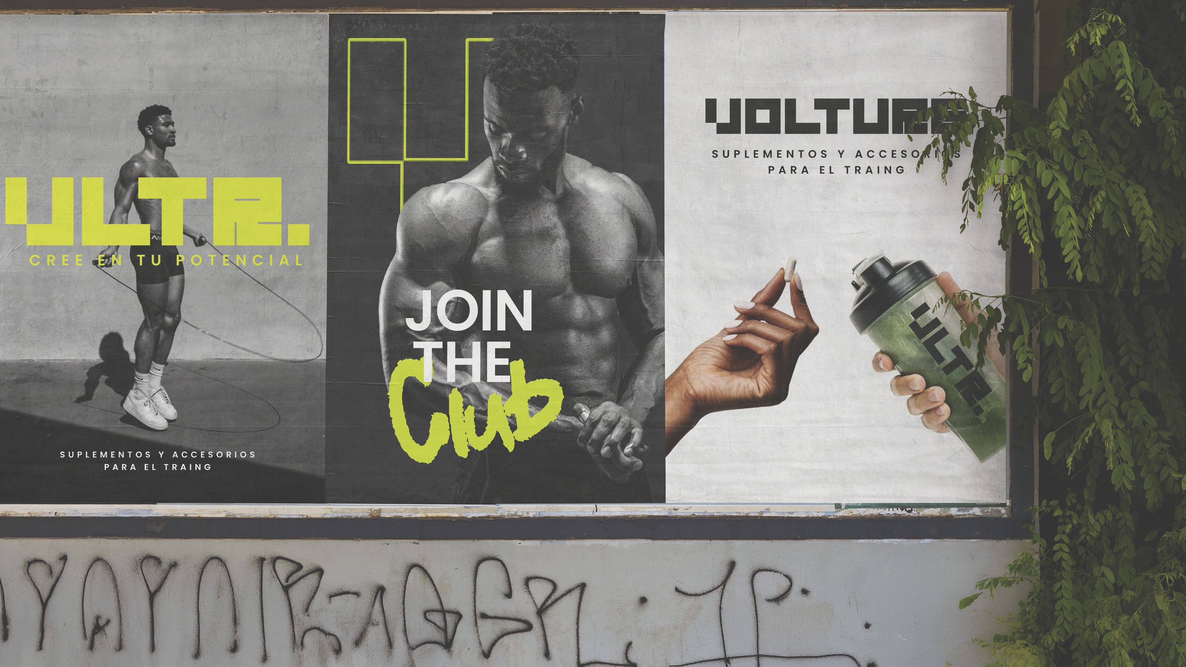 Volture